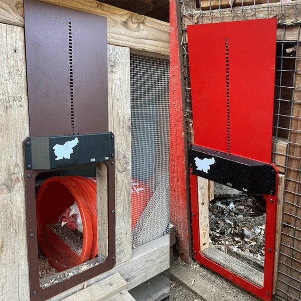 🎉This week's specials - Automatic Chicken Coop Door