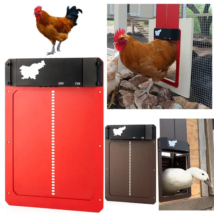 🎉This week's specials - Automatic Chicken Coop Door