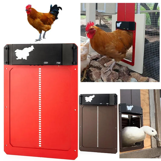 🎉This week's specials - Automatic Chicken Coop Door
