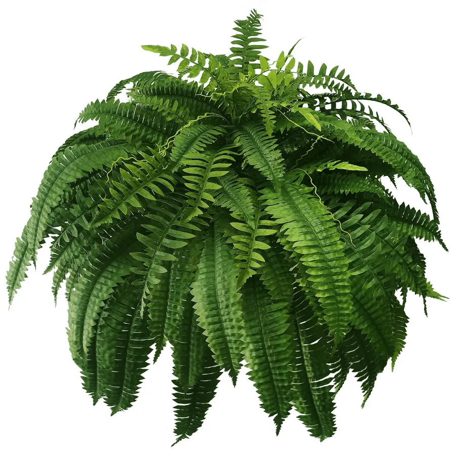 💥This Week's Special Price $21.89🌺UV Resistant Lifelike Artificial Boston Fern