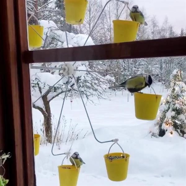 Jcpnneys - Ferris Wheel Bird Feeder
