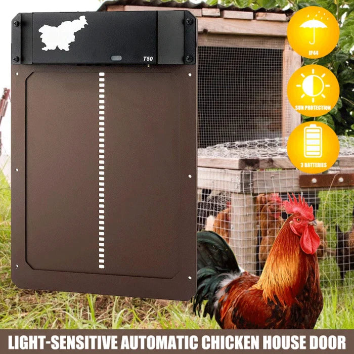 🎉This week's specials - Automatic Chicken Coop Door