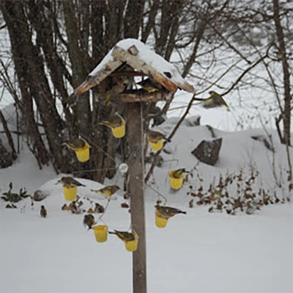 Jcpnneys - Ferris Wheel Bird Feeder