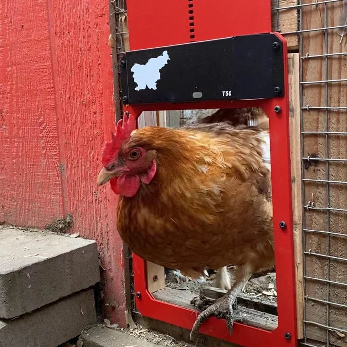 🎉This week's specials - Automatic Chicken Coop Door