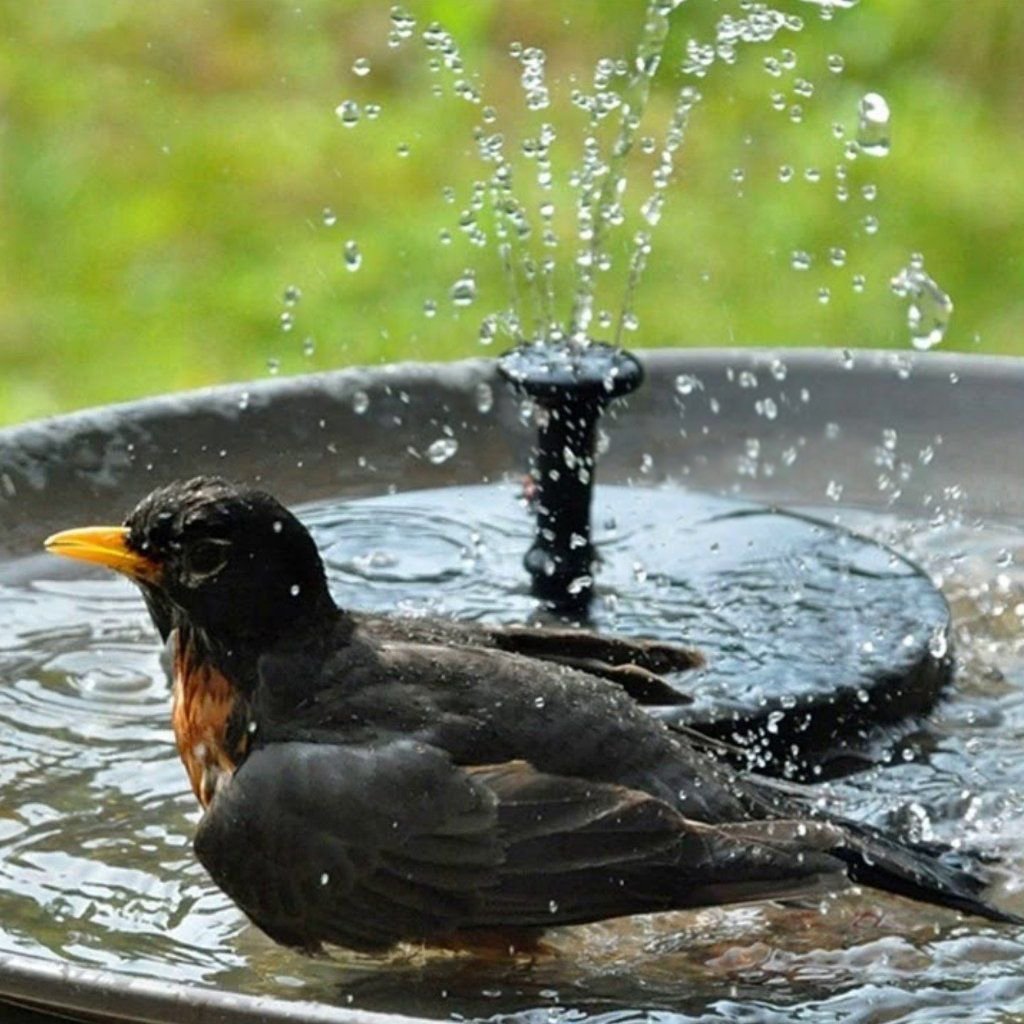 💥This month's hottest items - Garden Fountain
