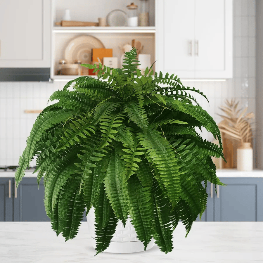 💥This Week's Special Price $21.89🌺UV Resistant Lifelike Artificial Boston Fern