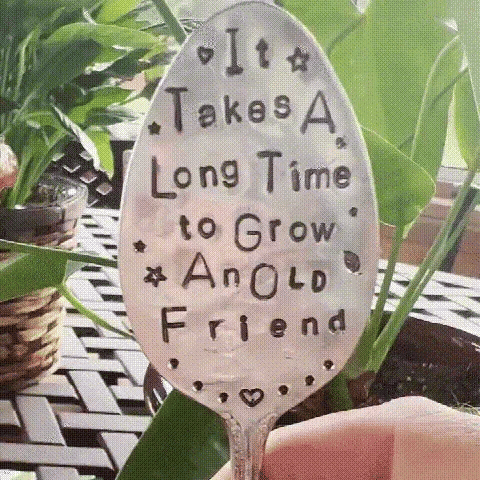 Jcpnneys - Garden Marker Friendship Gift